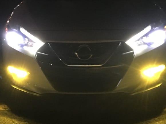 Diode dynamics LEDs
 SL1 and SLF yellow 