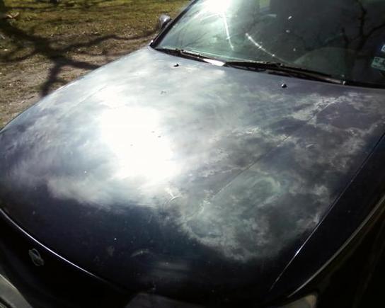 this is how bad the hood looks right now