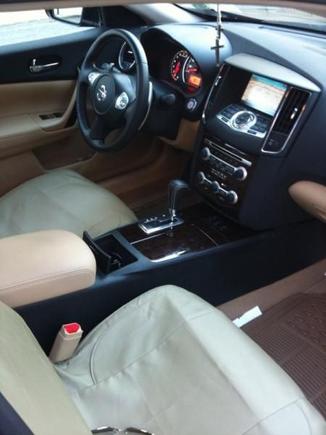 Maxima pic 1