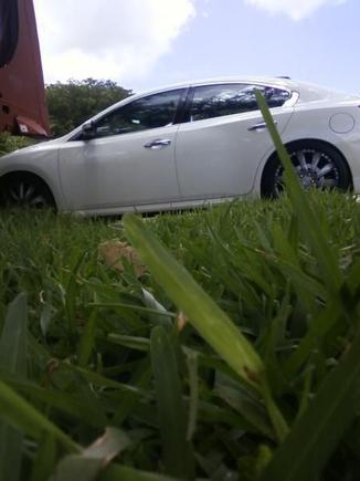 ITS A JUNGLE OUT THERE