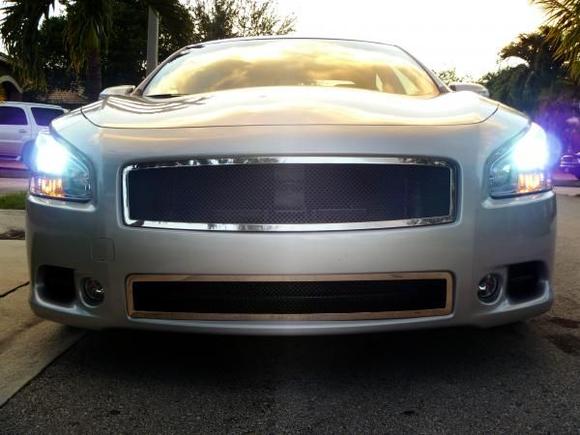 My black/chrome mesh grill