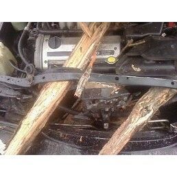tree limbs through the radiator just missing the engine....still cranks like a champ
