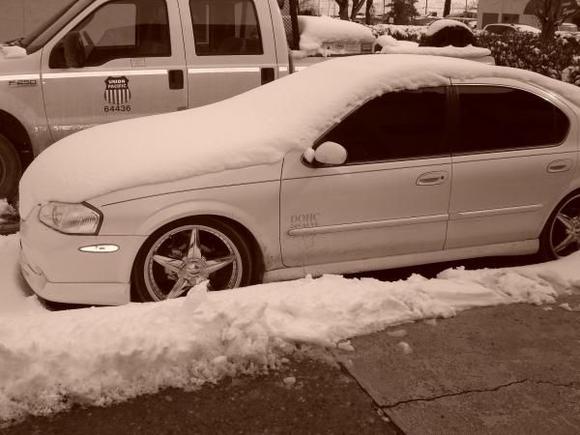 snowed in..