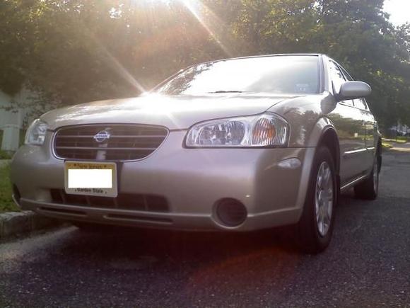 Maxima Sun Low
