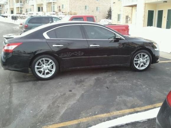 2 days old, fresh tint, no rims yet