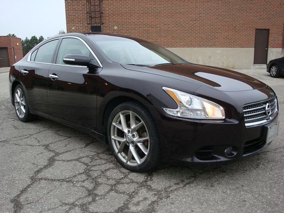 2010 Nissan Maxima 739923 8 sm