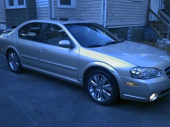 What to do? all suggestions welcome.