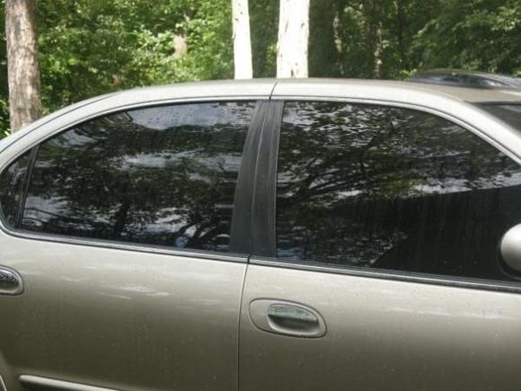 5% tint all the way around.