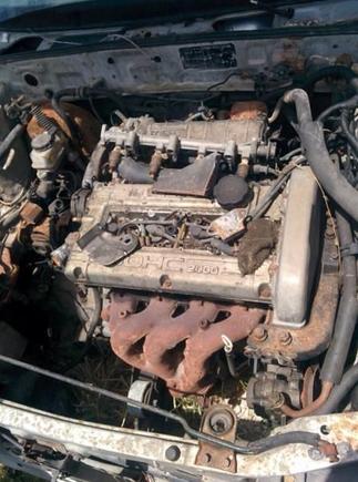 motor