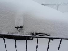 If you look hard enough under all of that white stuff, you'll find a nice black Dale Sr. :)