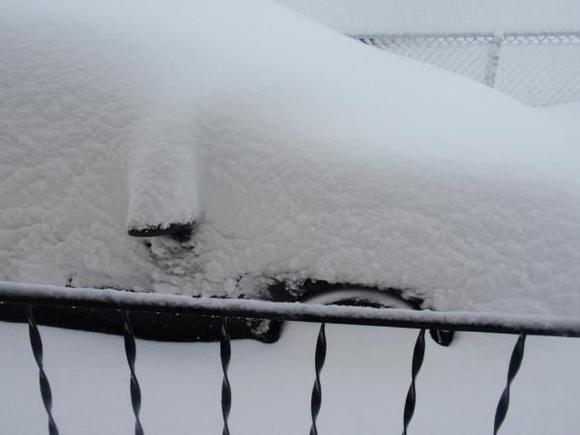 If you look hard enough under all of that white stuff, you'll find a nice black Dale Sr. :)