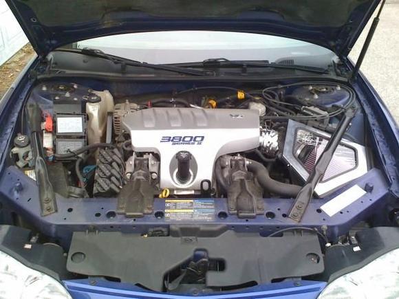 Shot of the engine bay