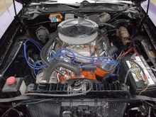 440 .60 over ....mild cam