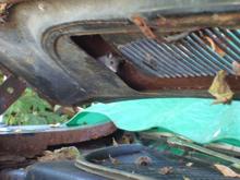 Brought a friend home from the Barn!