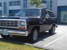 looks so different in dark brown