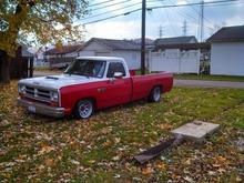 1456037 453488574770244 189864886 n