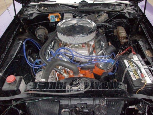 440 .60 over ....mild cam