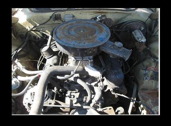 yea she need to be cleaned and have her carb changed,also went and upgraded the ignition