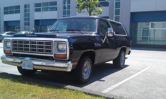 looks so different in dark brown