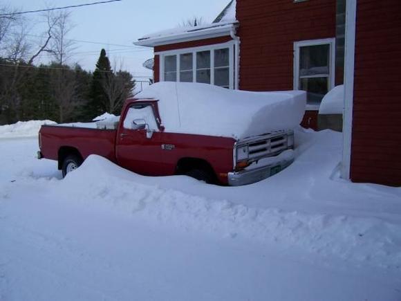 Old Red in hibernation