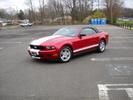 Greg's Mustang