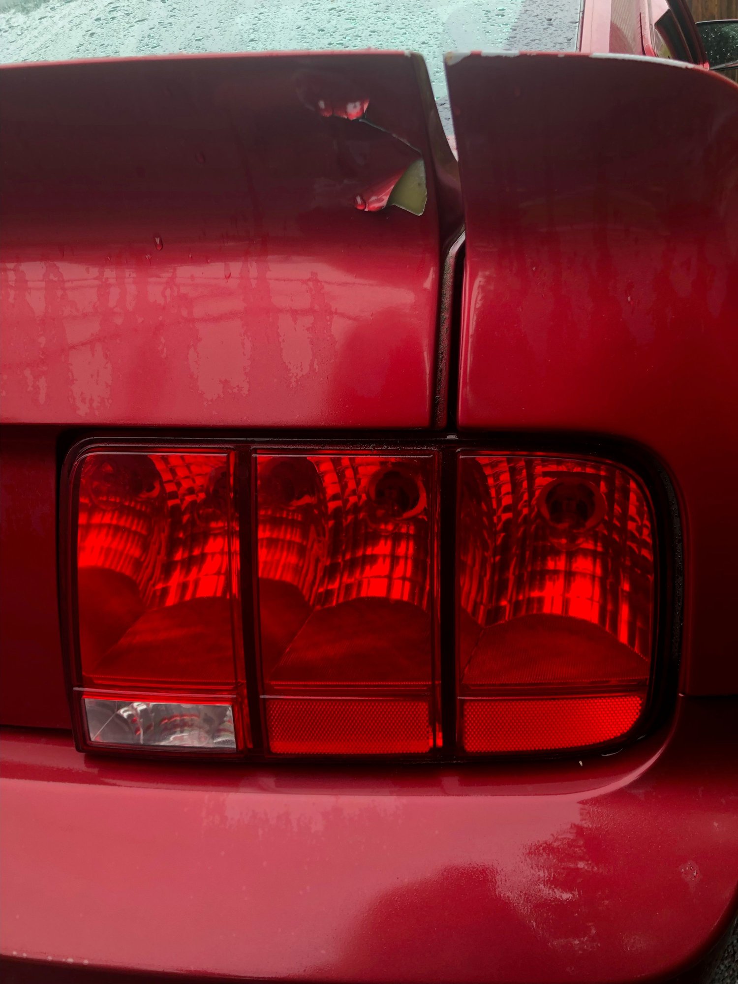 2007 Ford Mustang - 2007 Ford Mustang GT for sale - Used - VIN 1zvht82h675293389 - 51,500 Miles - 8 cyl - 2WD - Manual - Coupe - Red - Huntington, NY 11743, United States