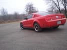 My little Stang :)