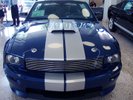 Garage - Shelby GT