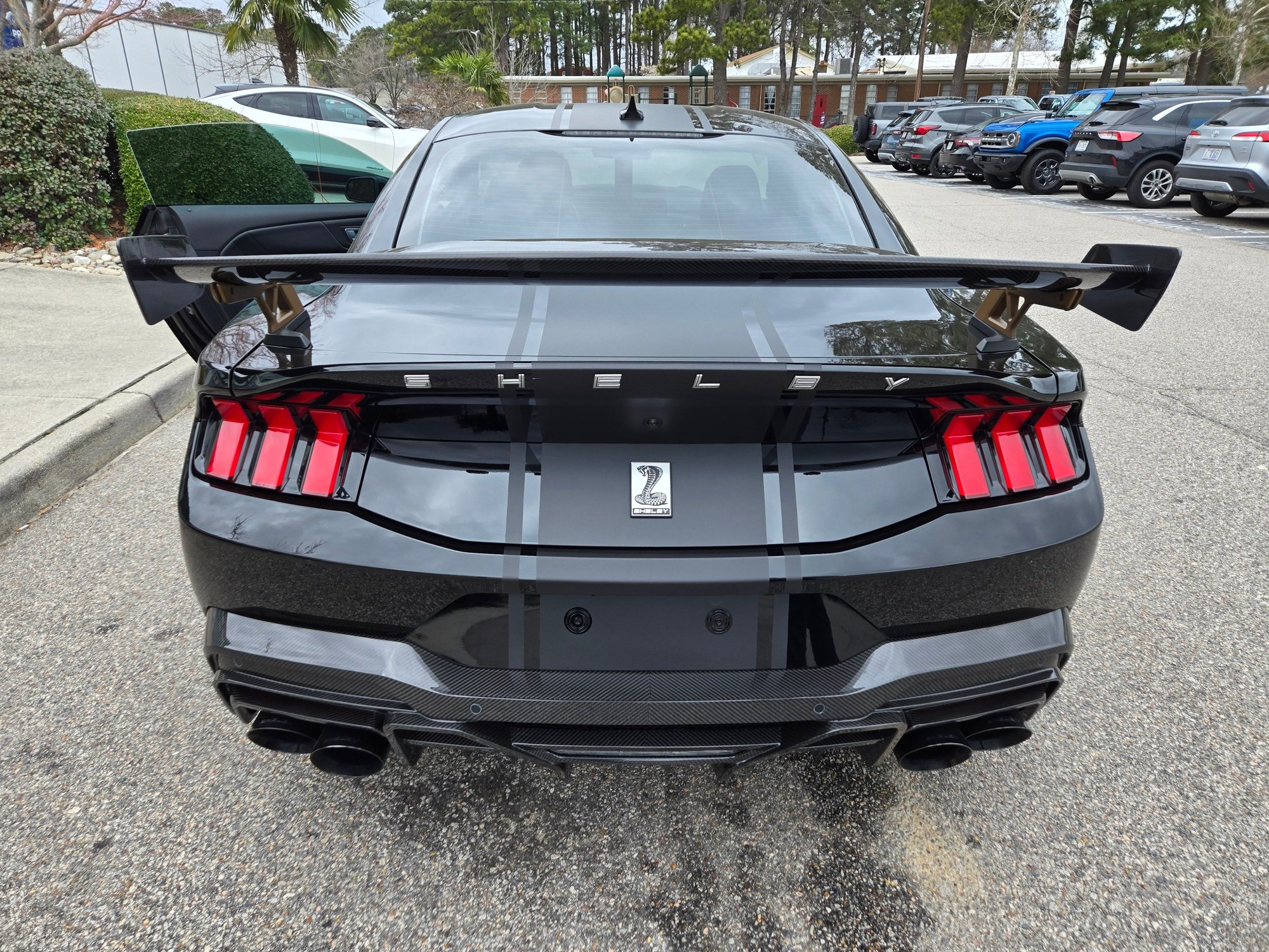 2024 Ford Mustang - BRAND NEW 2024 FORD MUSTANG SHELBY SUPER SNAKE - New - VIN 1FA6P8CF5R5433050 - 8 cyl - 2WD - Automatic - Coupe - Black - Virginia Beach, VA 23452, United States