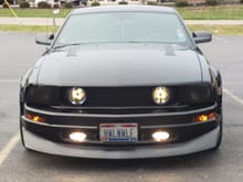 My 08 Mustang (Black Wolf)