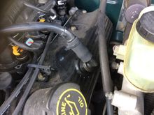 Oil patch where the PCV breather hose goes into the valve cover on the driver's side.