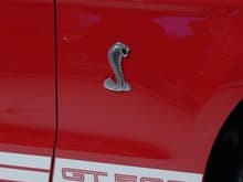 2010 Ford Mustang Shelby GT500 Passenger Side Badge and Stripe