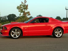 Mustang GT 014