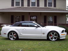 NEW MUSTANG PIC 10