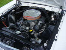 engine compartment