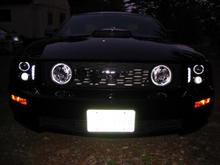 Picture 016