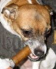 Leroy cigar