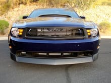 Mustang 045