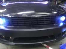 new projector head lamps  with saleen bumper 

i hit a deer two days after ordering my parts