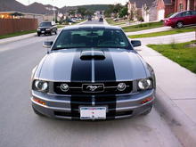 In September of 2007, I had custom Shelby-style racing stripes made and installed by BARK Productions in San Antonio, Texas. The stripes are gloss black and were made 10 1/4&quot; each with a 1 1/4&quot; gap at my request.