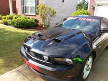 Leon's Mustang