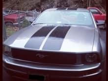 I love my Mustang! :)