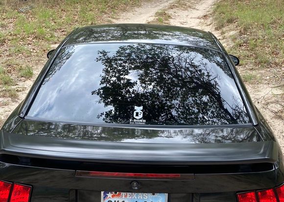 Spot the hail dents. 
I take personal responsibility for them. I took it into town and spent the night at my mothers place. I did position it under an Oak tree to minimalize it. They would be an easy fix to a professional. 