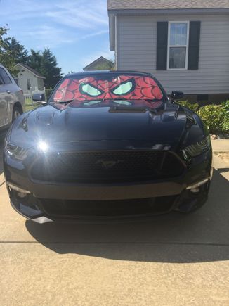 New sun shield