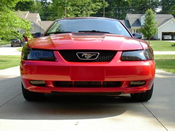 It needs a mach 1 chin spoiler.  Sad how I look at my car and only think about what I want to change.