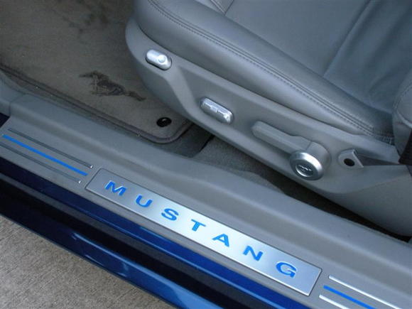 Door sills with reflective blue stripes and lettering.  Satin aluminum accents by Scott Drake.