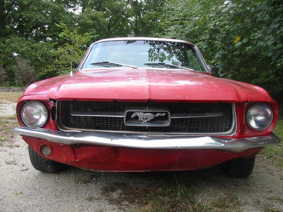 Mustang 67