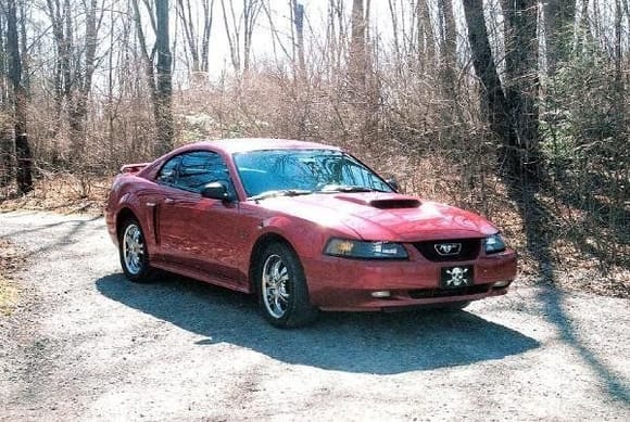2001 GT...RIP :(
Would like to trade my 6 speed z28 for another mustang!