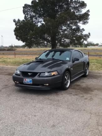04 Mach 1 at the park lookin sexy as ever