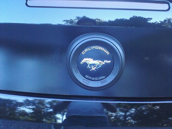 Rear CS emblem